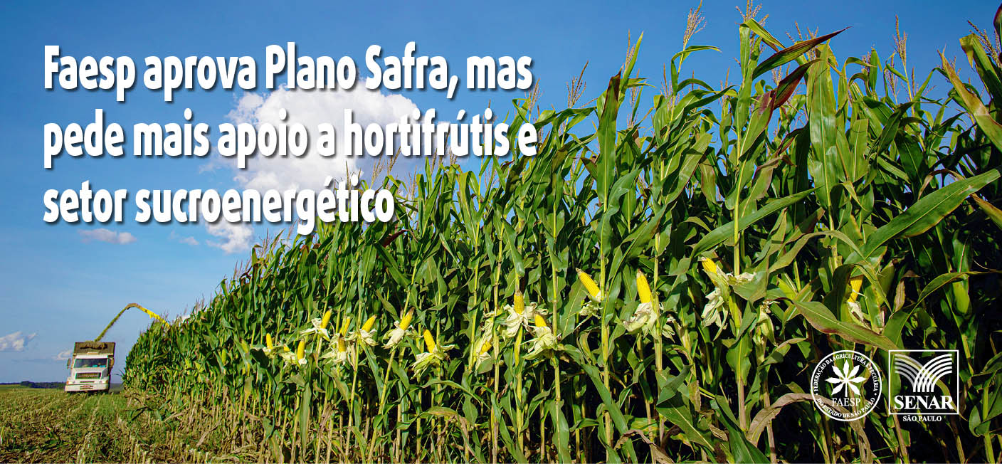 You are currently viewing Faesp aprova Plano Safra, mas pede mais apoio a hortifrútis e setor sucroenergético